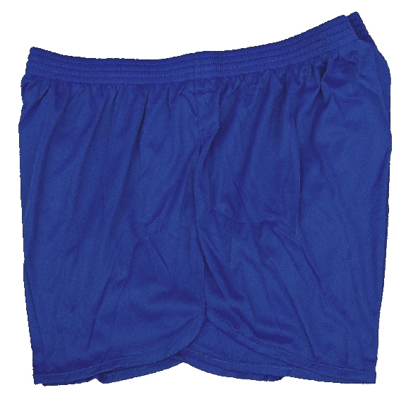Blue Nylon Ranger Panties Silkies Running Track Shorts by Soffe Men's ...